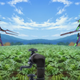Image for article titled The Radical Sincerity of Evangelion's Final End